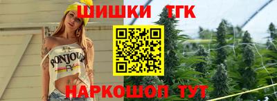 шишки Изобильный