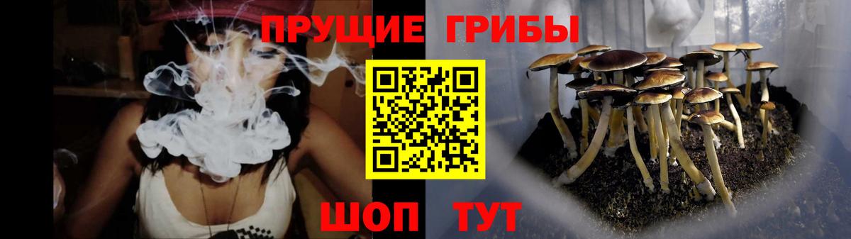 Галлюциногенные грибы GOLDEN TEACHER  Вход с VPN  Псилоцибиновые грибы Magic Shrooms  где найти   Ликино-Дулёво 